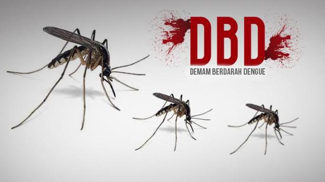 Read more about the article Demam Berdarah Dengue (DBD)