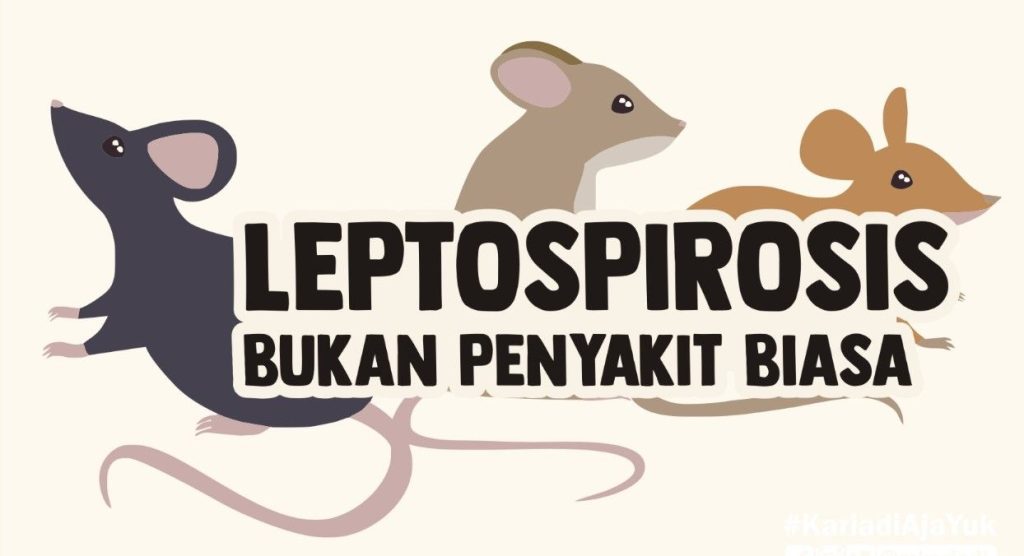 Waspada Leptospirosis