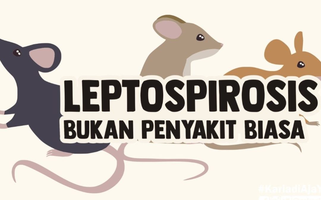 Waspada Leptospirosis
