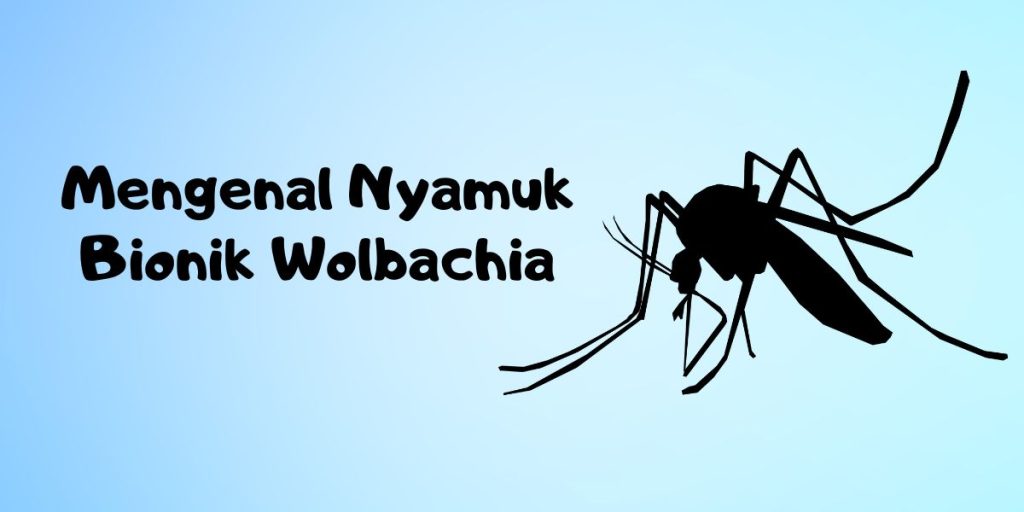 Kenalan Lebih Dekat dengan Nyamuk Wolbachia
